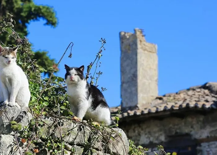 Cozy Stone House Petrino Casa de Férias