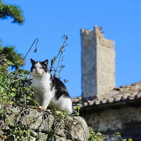 Cozy Stone House Petrino Σπίτι διακοπών
